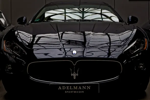 빙고플링 카지노 안드로이드/iOS 앱